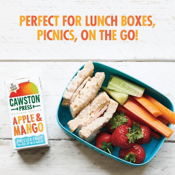 Cawston Press Fruit Water Kids Drink - Image 4