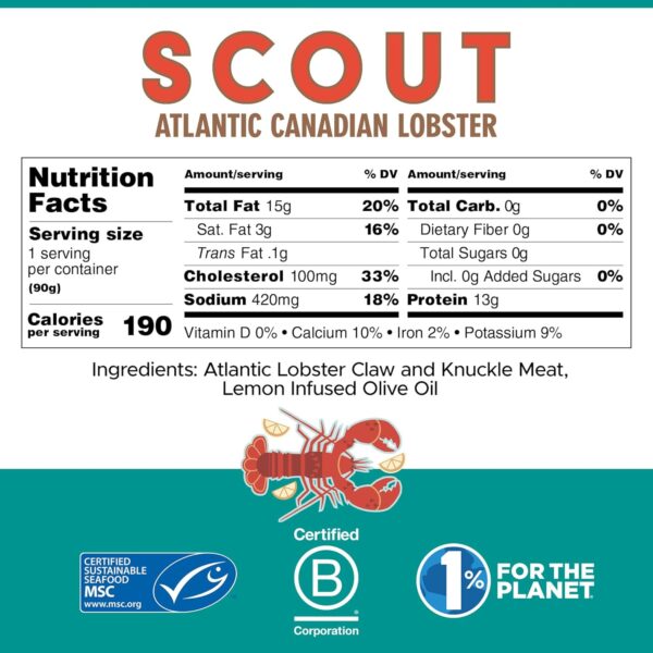 SCOUT Atlantic Canadian Lobster - Image 5